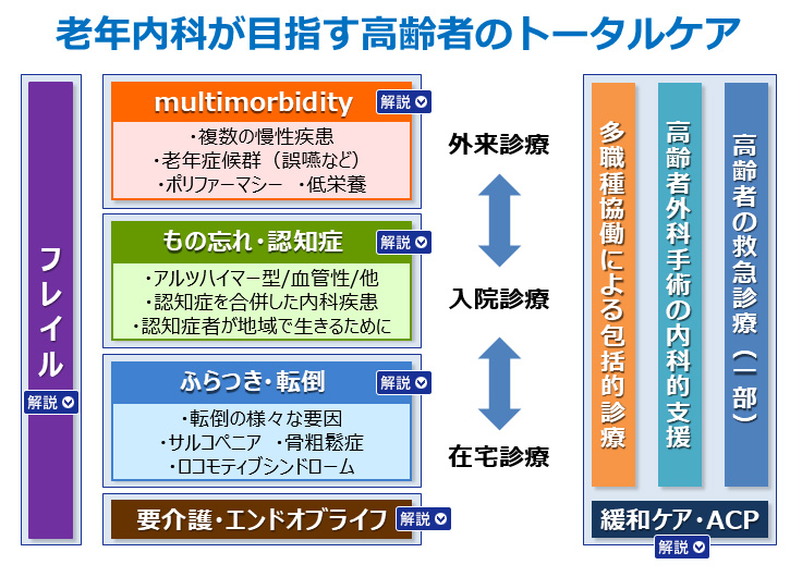 老年内科が目指す高齢者のトータルケア