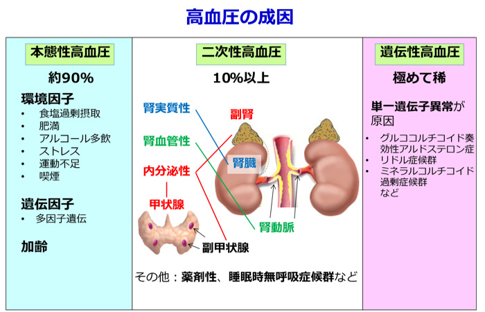 高血圧の治療