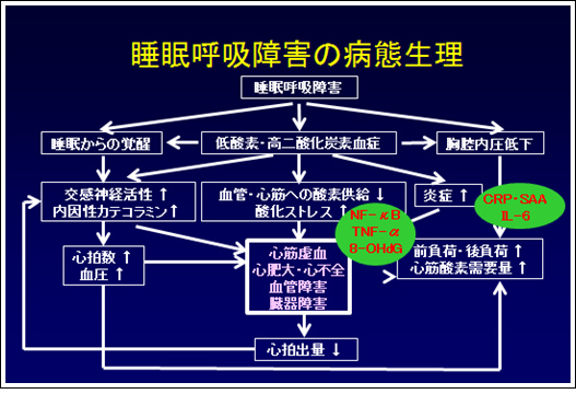 睡眠呼吸障害の病態生理