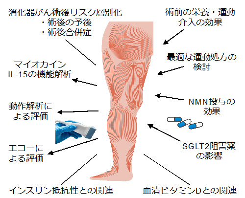 研究成果イメージ